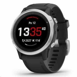 Garmin fénix 6S Glass Silver/Black Band 010-02159-01